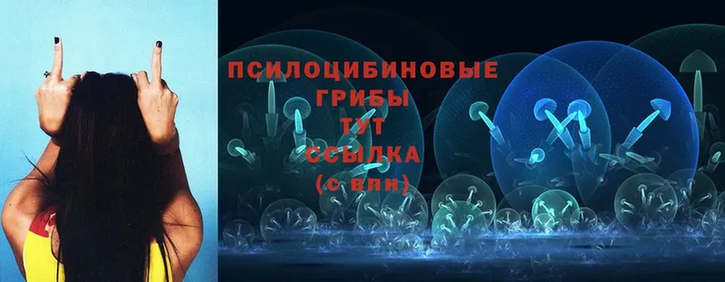 Псилоцибиновые грибы Magic Shrooms  Перевоз 